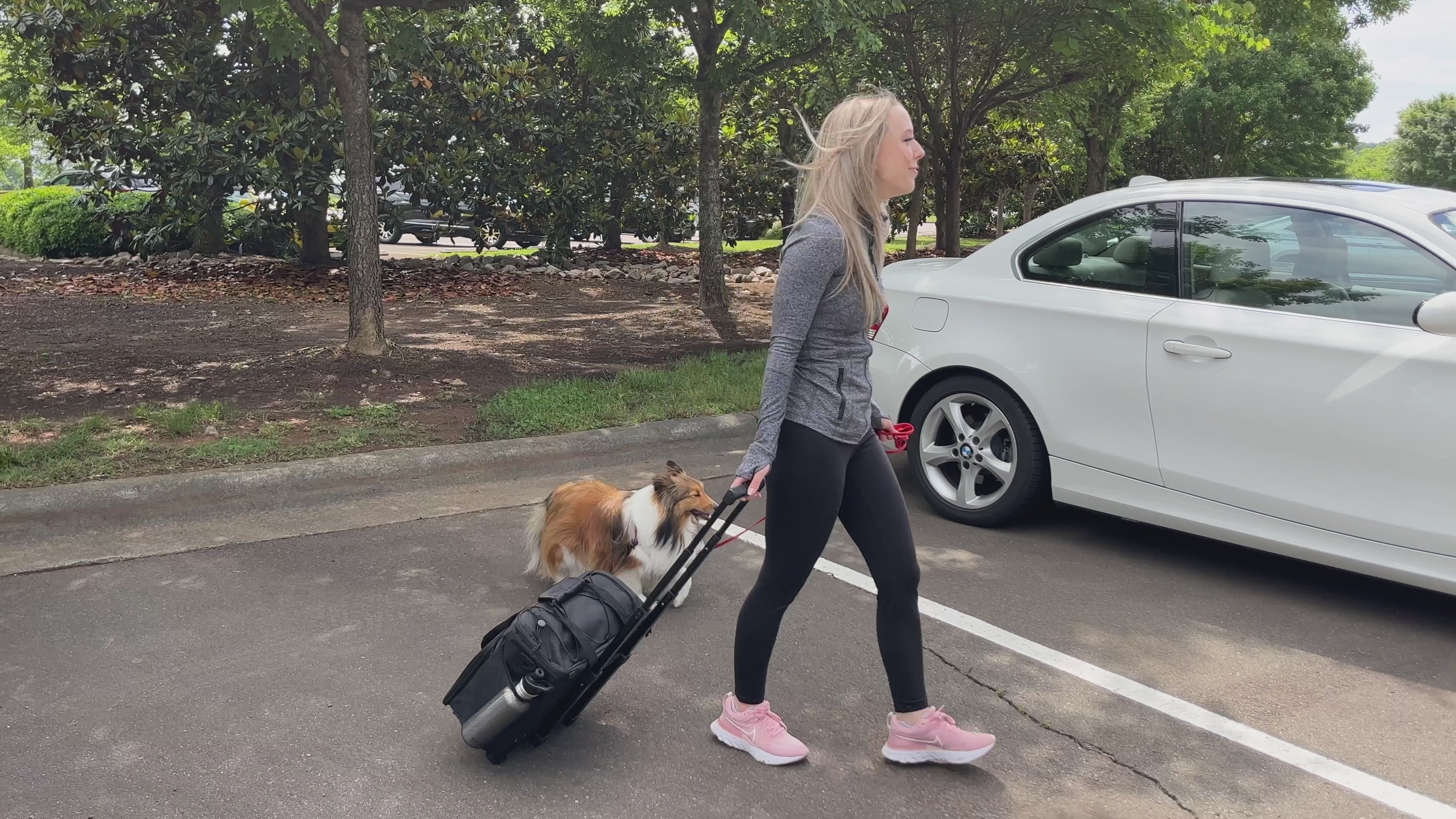Load video: Hear why Mobile Dog Gear is the Best in Pet Luggage. As told by NewsWatch TV