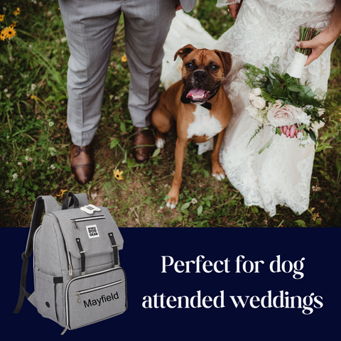 Wedding Registry Items for Dog Parents: Gift Ideas for a Dog Family